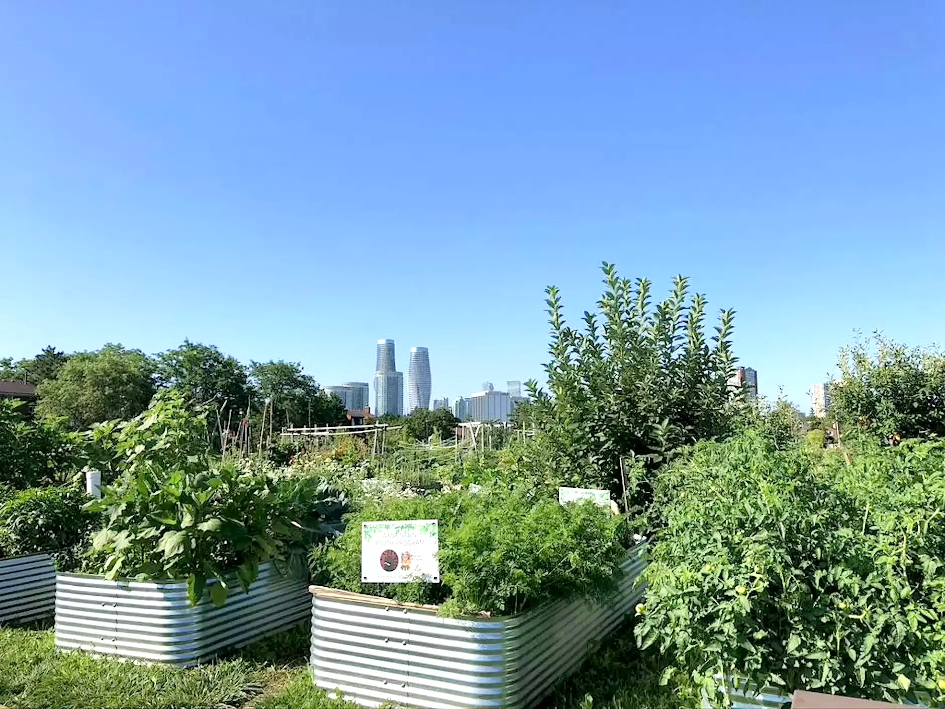 Community Gardening image source: Ecosource